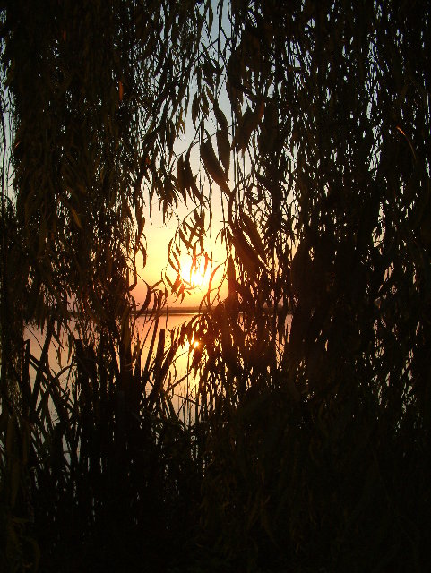 DSCF0037.JPG