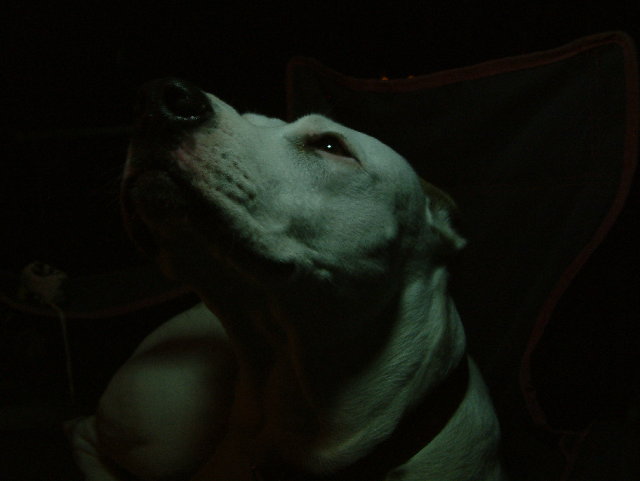DSCF0105.JPG