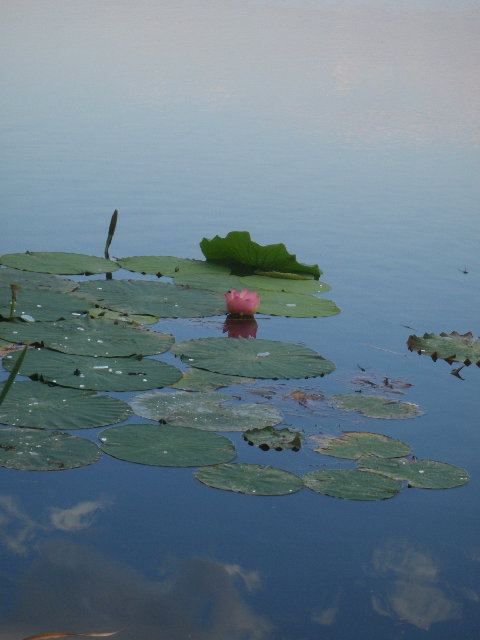 P8270186.jpg