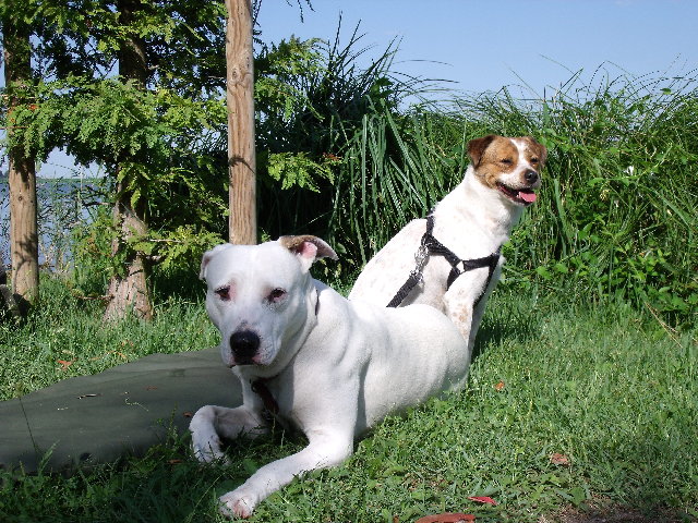 DSCF3907.JPG