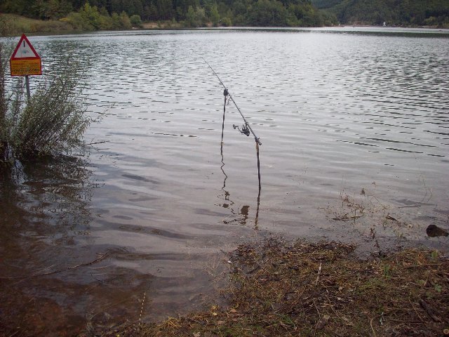 100_2362.JPG