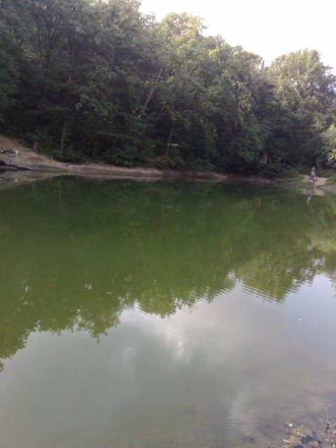 25072009252 [640x480].jpg