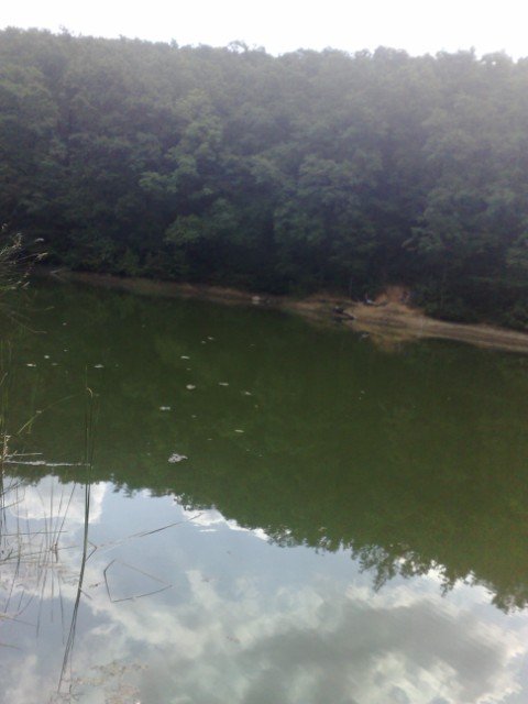 25072009254 [640x480].jpg