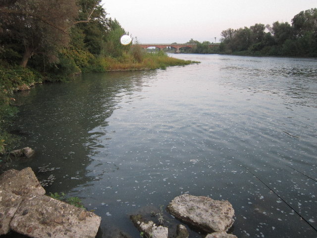 IMG_0033.jpg