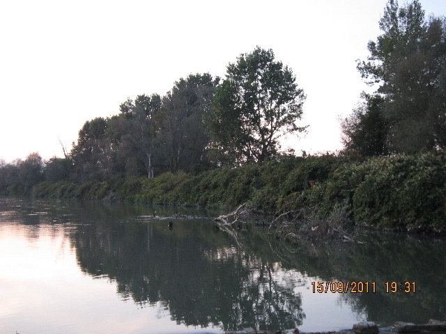 IMG_0028.jpg