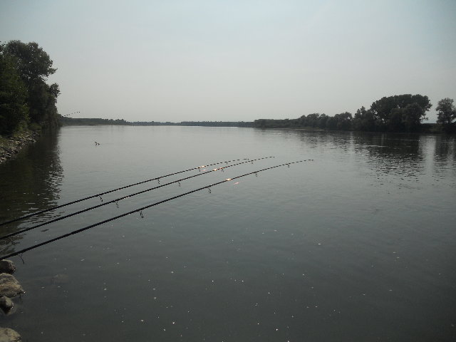 DSCN1735.JPG