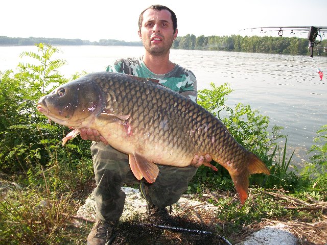 030.JPG