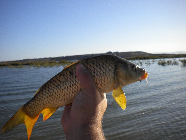 DSCN0842.JPG