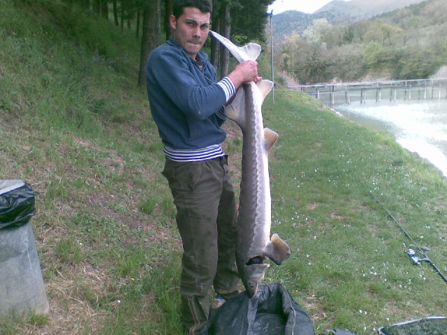 16 kg.jpg