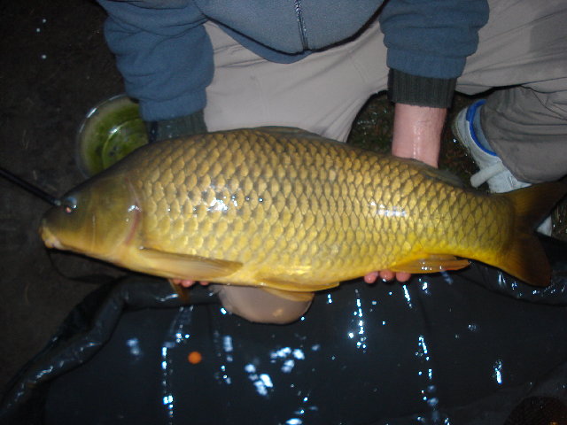 DSC01234.JPG