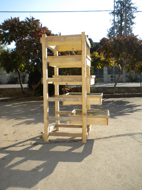 DSCN0785.JPG